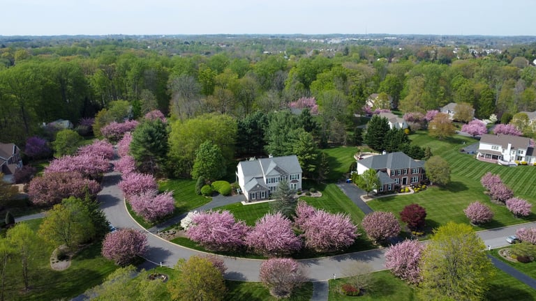 Beautiful residential neighborhood with trees
